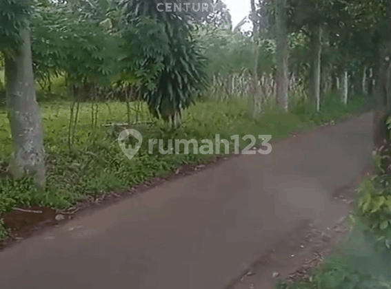 Strategic Plot Near Housing in Kp Lembur Sawah Mulyaharja Bogor