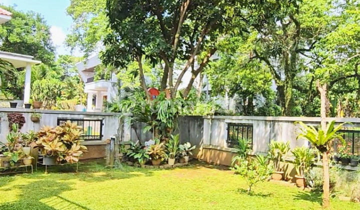 Rumah Asri Banyak Natural Lighting di Danau Bogor Raya 2