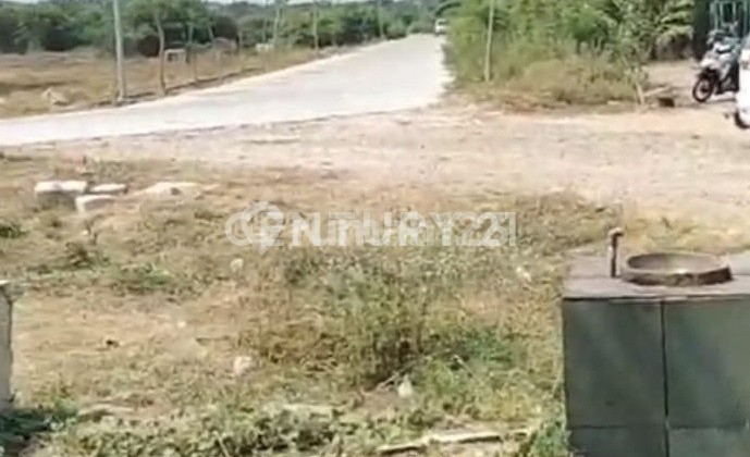 Tanah Cilincing Rorotan Jakarta Utara