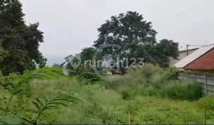Land for Sale in Babakan Madang