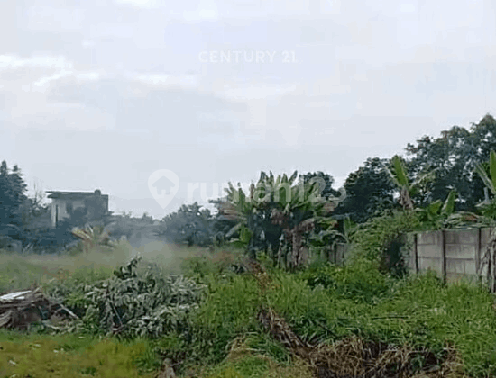 Tanah Dekat Perumahan di Jl Pelita 2 Tonjong Tajur Halang Bogor Tanah Dekat Perumahan di Jl Pelita 2 Tonjong Tajur Halang Bogor