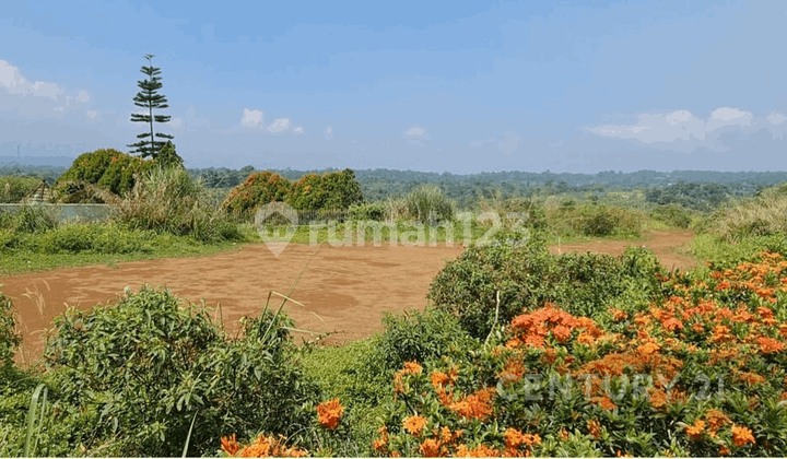 Tugu Block Cemetery Land, Geblug Hamlet, Palasari Village, Cijeruk, Bogor Regency Tugu Block Cemetery Land, Geblug Hamlet, Palasari Village, Cijeruk, Bogor Regency