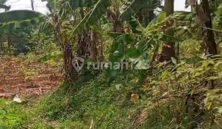 Tanah Dekat Kantor Desa Tanjungsari Jl Cagak Palasari Kec Cijeruk