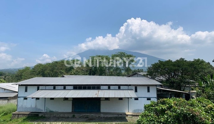 Gudang Maseng View Gn Salak Ds Ciadeg Cigombong Kab Bogor Gudang Maseng View Gn Salak Ds Ciadeg Cigombong Kab Bogor