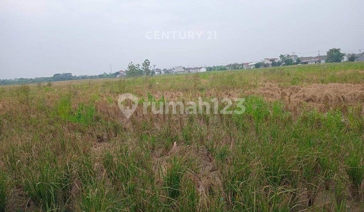 Land on Jalan Raya Cikarang Pilar, Sukatani, North Cikarang.