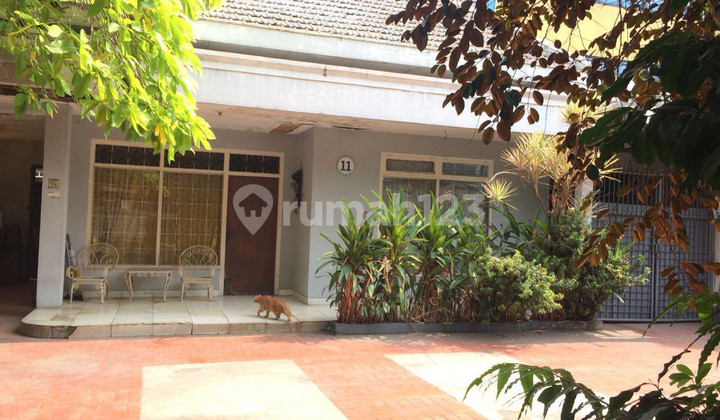 Rumah Tua Luas Bebas Banjir di Jl Salemba Jakarta Pusat Rumah Tua Luas Bebas Banjir di Jl Salemba Jakarta Pusat