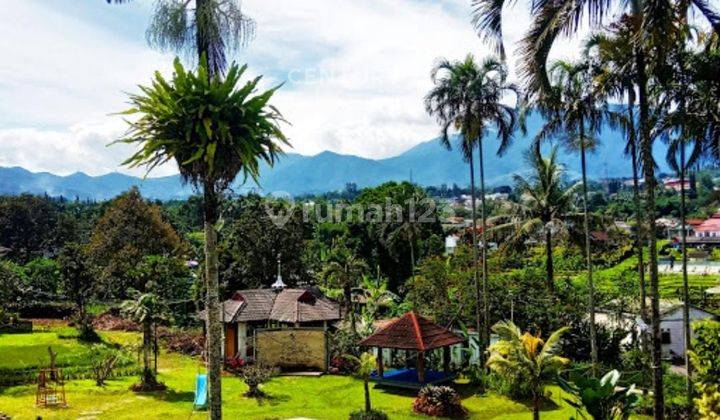 Gardena Resort Hotel Jl Megamendung Cisarua Bogor 1