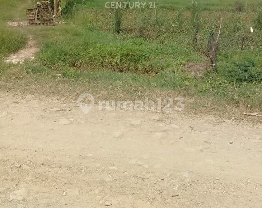Kavling Muara Gembong Kab Bekasi