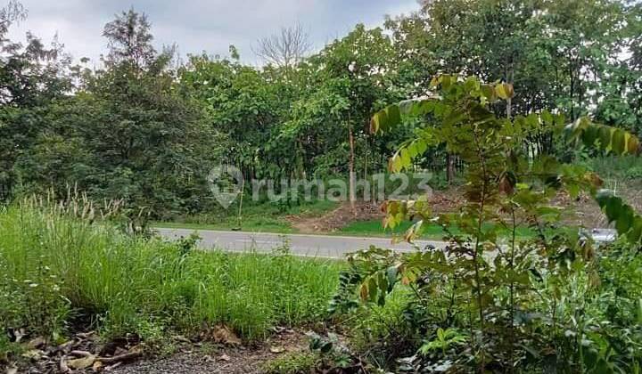 Land Facing the Toll Road Towards Airport in Cikedung Village, Indramayu Regency