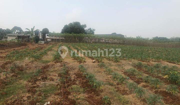 Tanah Lokasi Strategis Lembang Bandung Tanah Lokasi Strategis Lembang Bandung