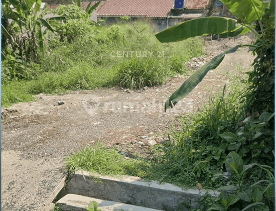 Turun Harga Kavling Jl Beruang Pasir Mulya Bogor Barat