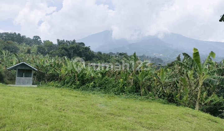 Land in Tugujaya Village, Cigombong District, Cijeruk