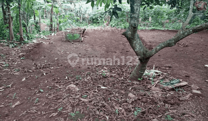 Tanah Daerah Perumahan di Situsari Cileungsi Kab Bogor Tanah Daerah Perumahan di Situsari Cileungsi Kab Bogor