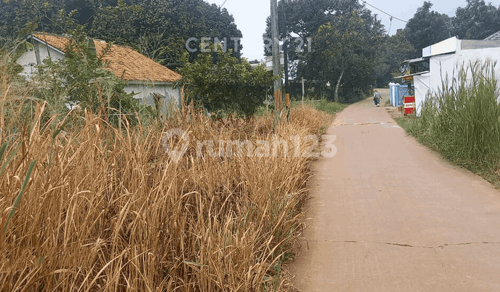 Kavling Dekat Tol di Jl Ketapang Andir Parung Kemang Bogor Kavling Dekat Tol di Jl Ketapang Andir Parung Kemang Bogor