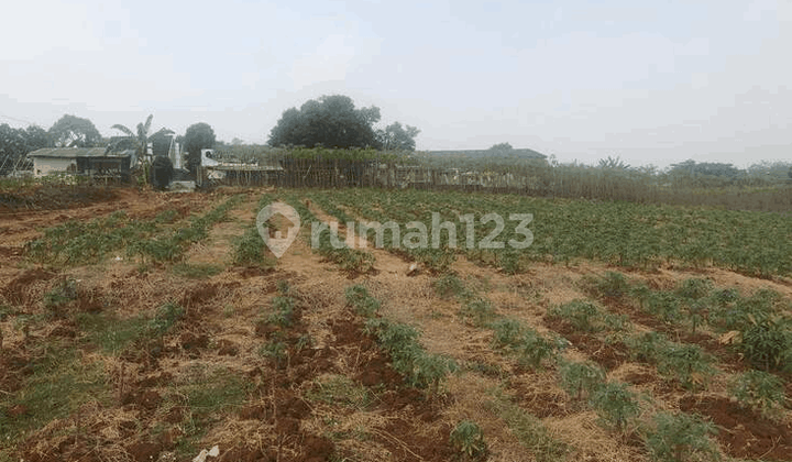 Strategic Land Location in Lembang, Bandung