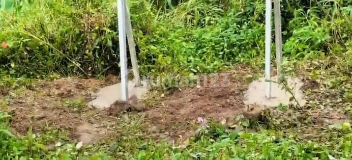 Kavling Ds Sukajadi Kec Tamansari Ciapus Kavling Ds Sukajadi Kec Tamansari Ciapus