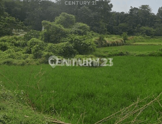 Tanah Kel Lebak Gede Kec Pulomerak Cilebogn Banten Tanah Kel Lebak Gede Kec Pulomerak Cilebogn Banten