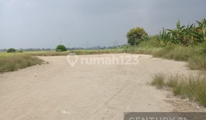 Tanah Jl Pantura Kp Pondok Soga Kec Babelan Kab Bekasi Tanah Jl Pantura Kp Pondok Soga Kec Babelan Kab Bekasi