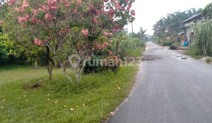 Kavling Kec. Sei Suka Ds Pematang, Sumatra Utara Kavling Kec. Sei Suka Ds Pematang, Sumatra Utara