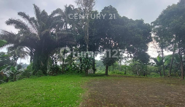 Tanah Strategis Dekat Tol Seberang MDC Di Jl Raya Gadog Bogor