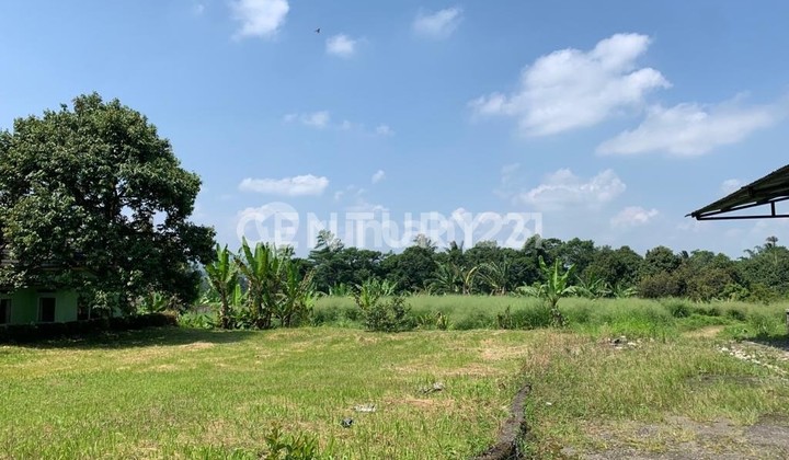 Gudang Maseng View Gn Salak Ds Ciadeg Cigombong Kab Bogor