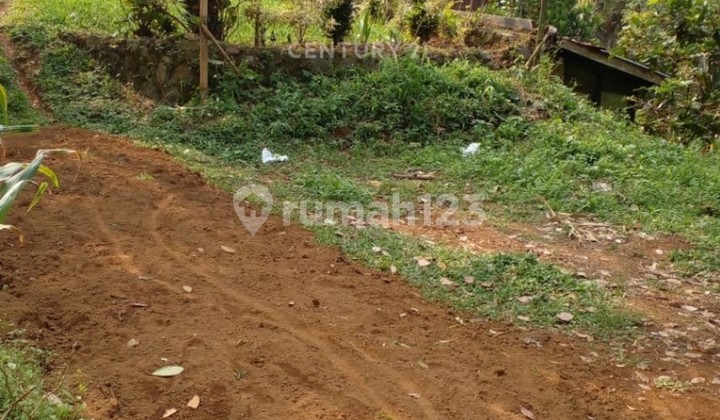 Dati I and II Land with Old Building Bonus Near Puncak