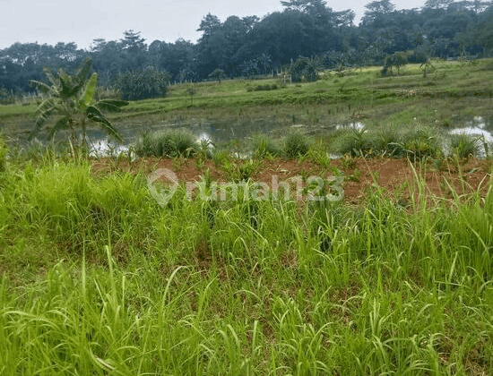 Tanah Peruntukan Industri Kp Pasir Angin Cileungsi Kab Bogor Tanah Peruntukan Industri Kp Pasir Angin Cileungsi Kab Bogor