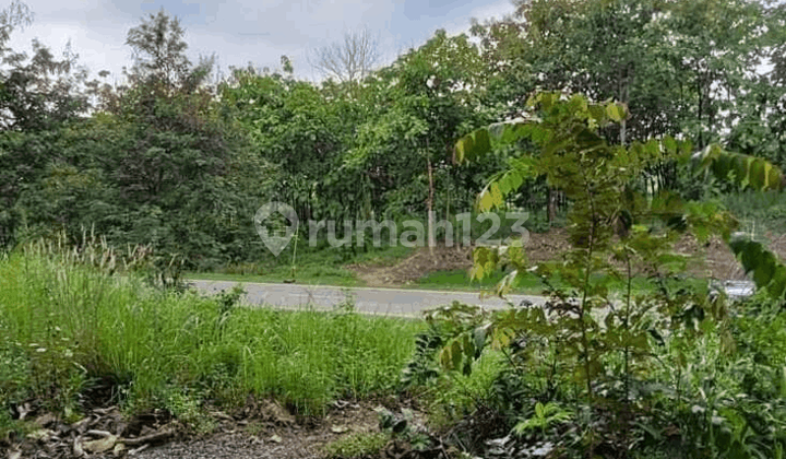 Tanah Hadap Tol Arah Bandara Ds Cikedung Kab Indramayu
