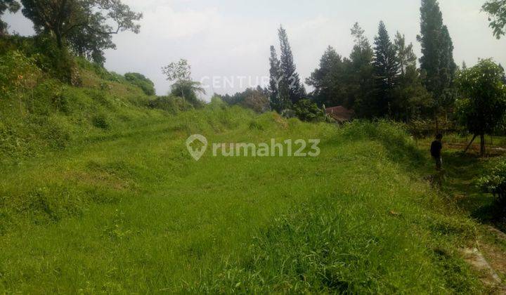 Kavling Sawah View Gunung Pangrango Di Kampung Ciesek Megamendung 2