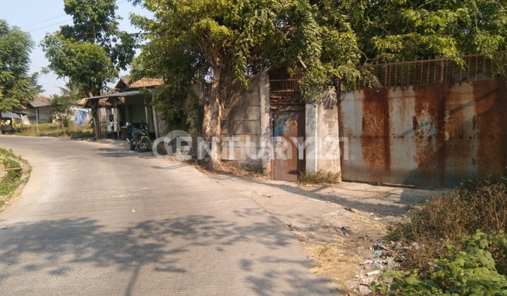 Tanah Bonus Peternakan Ayam Kp Teko Kemiri Tangerang 2