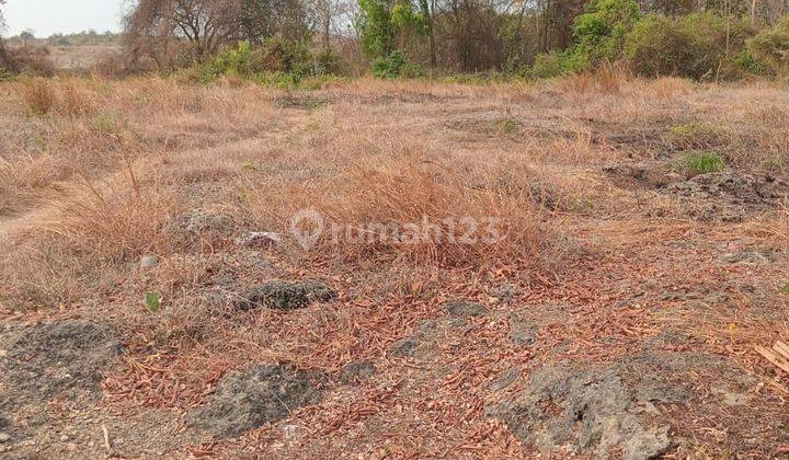 Tanah Cocok untuk Industri dan Gudang di Raya Bungah Gresik Dekat JIIPE dan GEM CITY 2