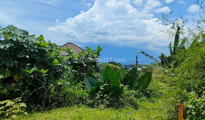 Kavling Cantik di Kawasan Pajajaran Indah Bogor 1