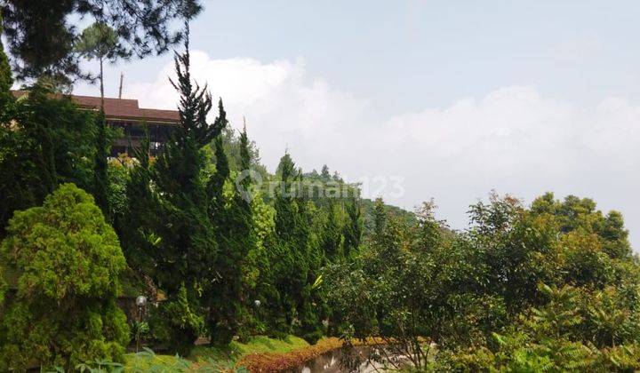 Villa Cantik Aseri Lokasi Megamendung Bogor 2