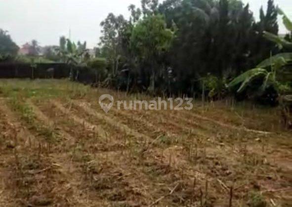 Tanah Murah Cocok Utk Villa Lokasi Tamansari Bogor 7
