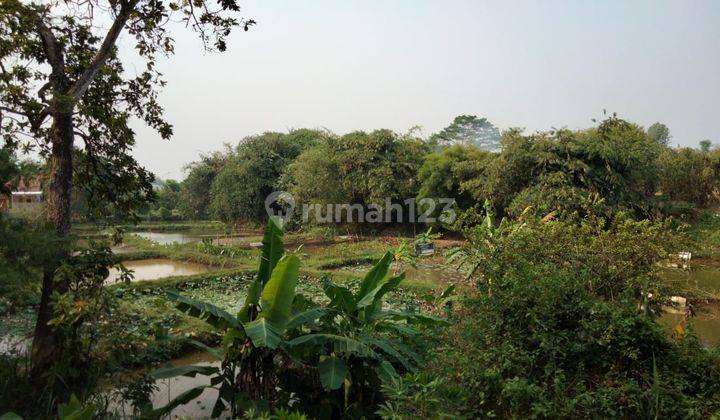 Kavling Darat Ex Pemeliharaan Ikan Lokasi Parung Bogor 1