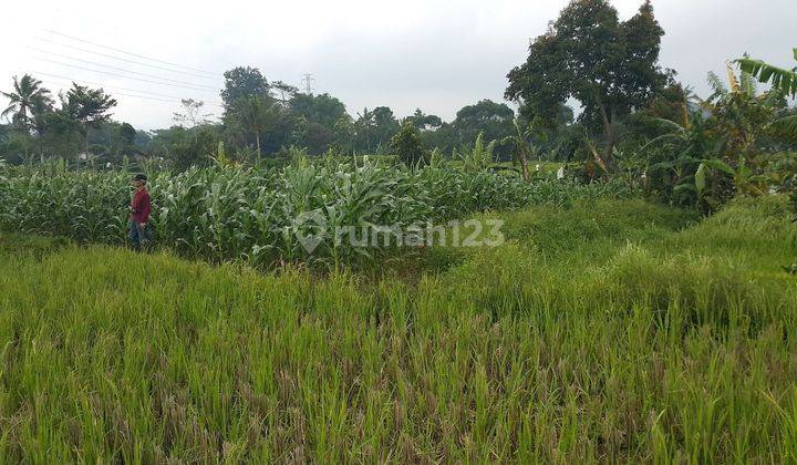 Tanah Kebun Murah di Jalan Arah Sukabumi Cianjur 2