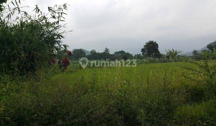 Tanah Kebun Murah di Jalan Arah Sukabumi Cianjur 1