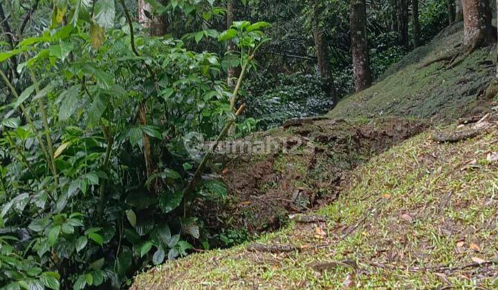 Kavling Villa Dibawah Njop di Lokasi Wisata Megamendung Bogor 2