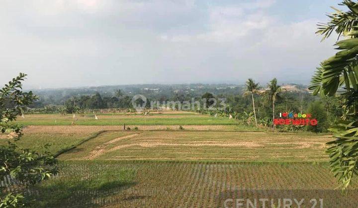 Kavling Murah Di Ds Cibalung Kec Cijeruk Kab Bogor 1