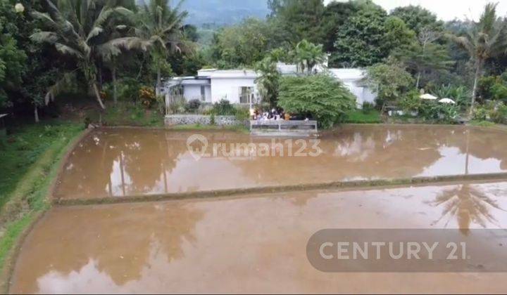 Kavling Murah Di Ds Cibalung Kec Cijeruk Kab Bogor 2