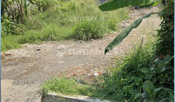 Kavling Murah Strategis Di Jl Beruang Pasir Mulya Bogor Barat