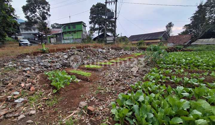 Strategic Cheap Land by Cihideung Cijeruk Bogor Main Road