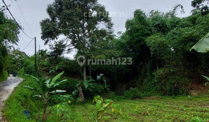 Kavling Ada Mata Air Di Jl Kp Ciherang Pancawati Caringin Bogor 2