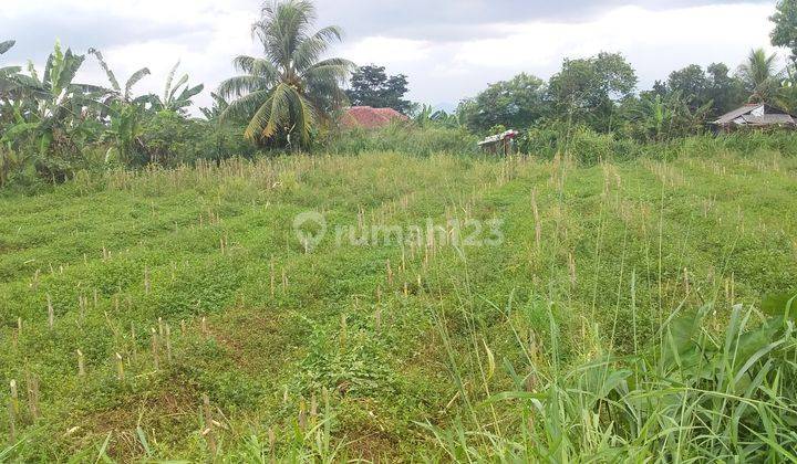 MURAH !!! Tanah Strategis SHM Di Jalan Raya Dramaga Kp. Manggis Bogor Dekat Kampus IPB Cocok Untuk  Bangun Kost-kostan 2