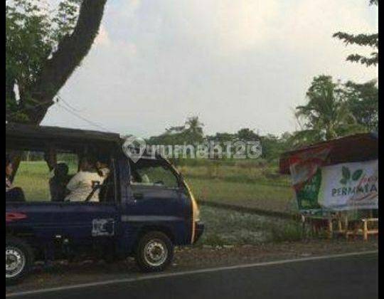 Tanah Murah SHM Pinggir Jalan Raya Subang Cocok Untuk Pabrik Dan Gudang 1