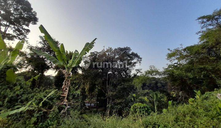 Tanah Jl Cibeureum Jempol Mulyaharja Bogor Selatan 1