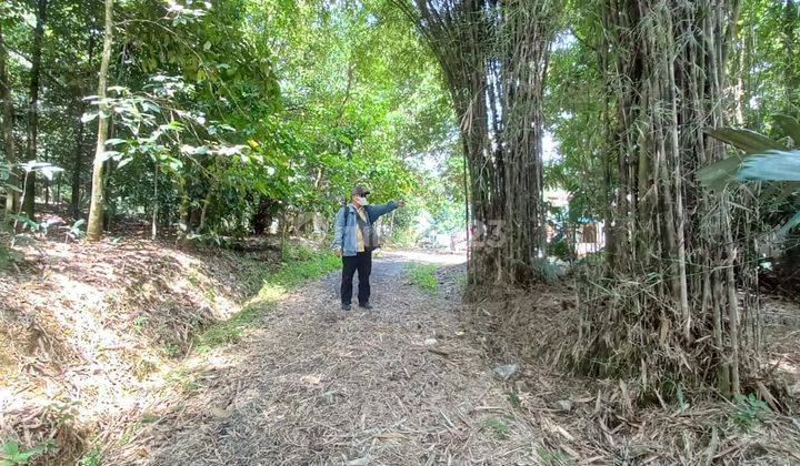 Tanah Shm Dekat Kantor Kecamatan Leuwiliang Bogor Cocok Untuk Rumah Subsidi Dan Perumahan 1