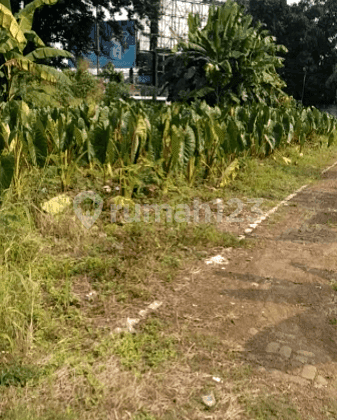 Tanah Pajajaran Depan Terminal Baranangsiang Samping Damri 1