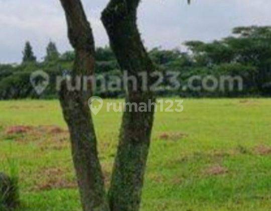 MURAH  SETENGAH HARGA !!! Kavling Strategis Asri  Di Rancamaya Golf Estate Bogor Dekat Jalan Tol 2