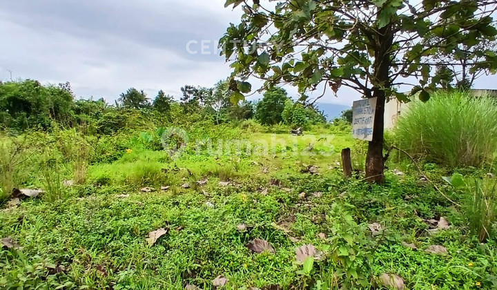 Tanah SHM Dekat Kampus Ipb Dramaga Bogor Cocok Bangun Kost-Kostan Mahasiswa Tanah SHM Dekat Kampus Ipb Dramaga Bogor Cocok Bangun Kost-Kostan Mahasiswa